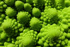 Romanesco Cauliflower (3)  The geometrical properties of cauliflower-like structures are at the boundary between disorder and fractality, between self-affinity and self-similarity. Discuss. : Romanesco, cauliflower